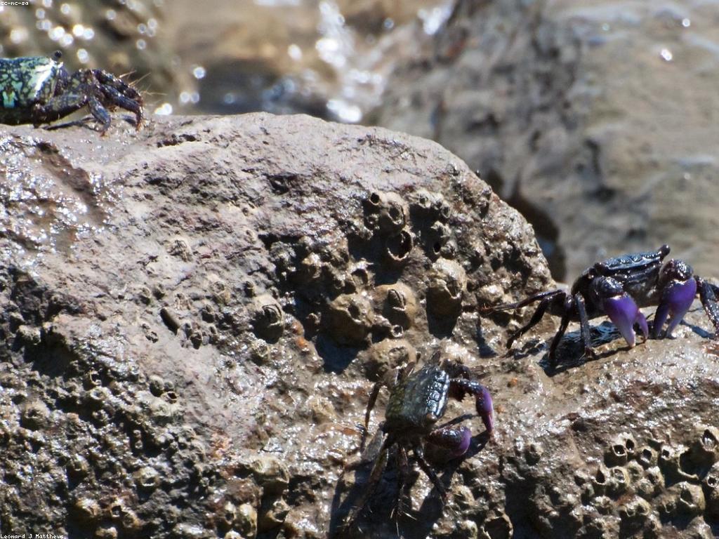 វិធីសាស្រ្តបង្កើត: បន្ថែមនូវការបង្កើតឱ្យមានប្រសិទ្ធភាព